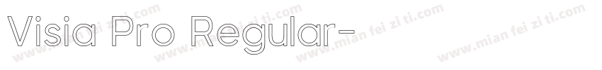 Visia Pro Regular字体转换